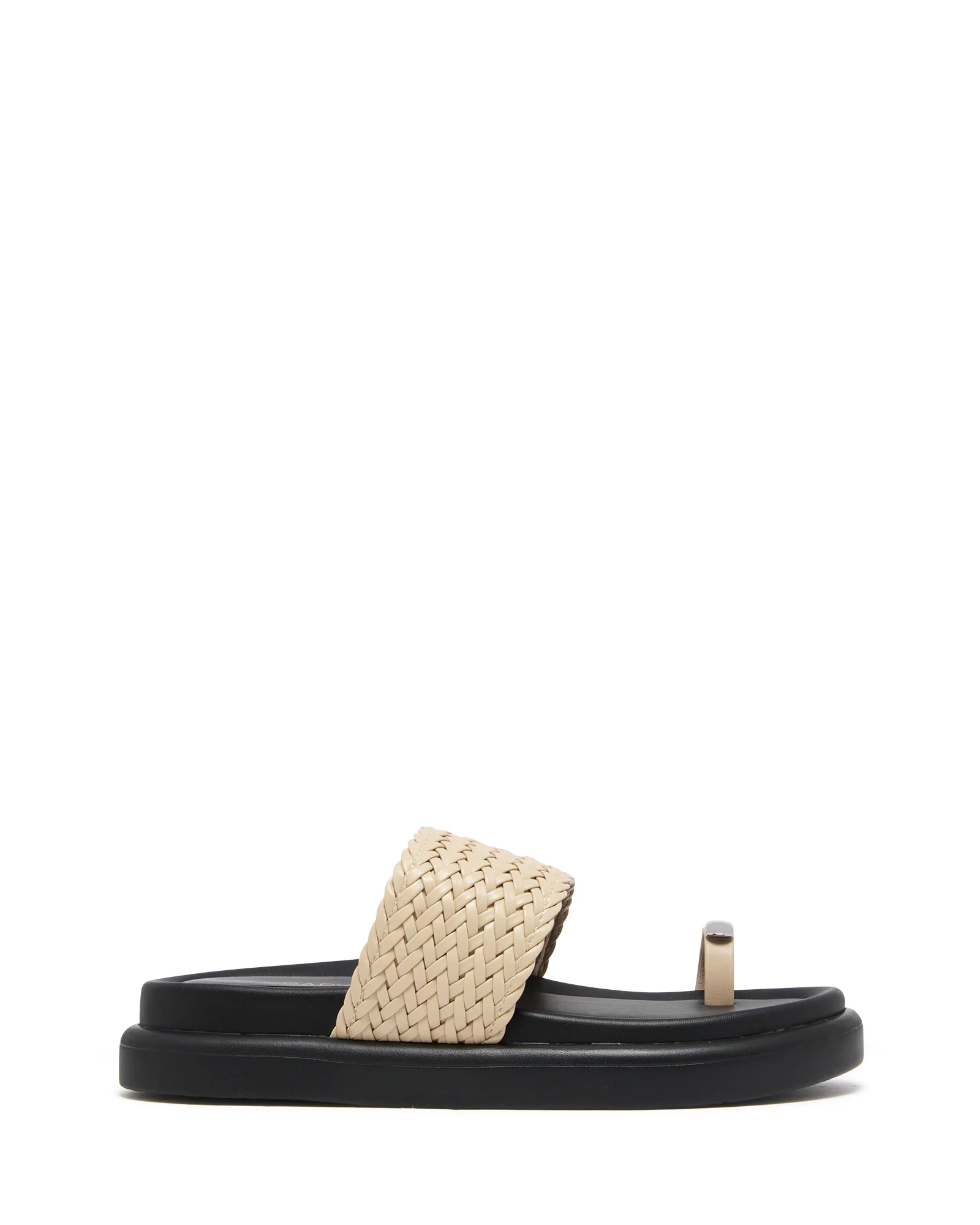 Prevail Cashew *FINAL SALE*